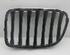 Radiator Grille BMW X1 (E84)