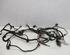 Engine Wiring Harness RENAULT Clio III (BR0/1, CR0/1)