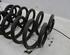 Coil Spring BMW X5 (E70)