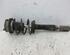 Suspension Strut BMW 5er Touring (E61)