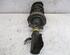 Shock Absorber RENAULT Kangoo/Grand Kangoo (KW0/1), RENAULT Kangoo Be Bop (KW0/1)