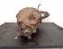 Rear Axle Gearbox / Differential MERCEDES-BENZ Vito Bus (W638)