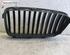 Radiateurgrille BMW 5er Touring (F11)