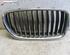 Radiateurgrille BMW 5er Touring (F11)