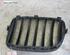 Radiator Grille BMW X3 (F25)