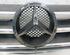 Radiator Grille MERCEDES-BENZ A-Klasse (W169)