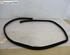 Door Seal FORD Kuga I (--), FORD Kuga II (DM2)