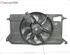 Radiator Electric Fan  Motor FORD Focus II (DA, DP, HCP)