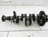 Crankshaft OPEL Corsa D (S07)