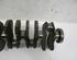 Crankshaft FIAT Grande Punto (199), FIAT Punto (199), FIAT Punto Evo (199)