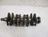 Crankshaft FIAT Grande Punto (199), FIAT Punto (199), FIAT Punto Evo (199)