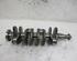 Crankshaft FORD C-Max II (DXA/CB7, DXA/CEU), FORD Grand C-Max (DXA/CB7, DXA/CEU)