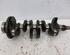 Crankshaft HYUNDAI i20 (PB, PBT)