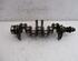 Crankshaft FORD Maverick (UDS, UNS), NISSAN Terrano II (R20)