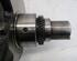 Crankshaft HYUNDAI Terracan (HP)