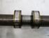 Camshaft PEUGEOT 207 (WA, WC)