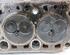 Cylinder Head FORD Transit Connect (P65, P70, P80)