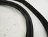 Boot / Trunk Lid Seal FORD C-Max (DM2), FORD Focus C-Max (--)