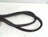 Boot / Trunk Lid Seal FORD Focus III (--)