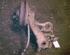 Stub Axle FIAT Punto (176)