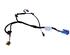 Door Wiring Harness SEAT Leon (5F1)