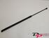 Gas Spring OPEL Crossland X (P17, P2QO)