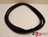 Door Seal LAND ROVER Range Rover Evoque (L538)