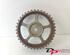 Camshaft Gear FORD Fiesta VI (CB1, CCN)