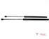 Bootlid (Tailgate) Gas Strut Spring FORD Focus III (--)