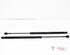 Bootlid (Tailgate) Gas Strut Spring FIAT Qubo (225)