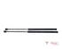 Bootlid (Tailgate) Gas Strut Spring BMW X1 (E84)