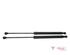 Bootlid (Tailgate) Gas Strut Spring OPEL Corsa F (--)