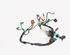 Wiring Harness LAND ROVER Range Rover Sport (L320)
