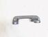 Grab Handle AUDI A3 Limousine (8VM, 8VS)