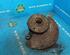 Stub Axle VW Transporter IV Bus (70B, 70C, 70J, 70K, 7DB, 7DC, 7DJ, 7DK)