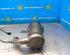 Diesel Particulate Filter (DPF) NISSAN Juke (F15)