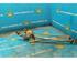 Wiper Linkage FORD Focus C-Max (--), FORD C-Max (DM2), FORD Kuga I (--), FORD Kuga II (DM2)