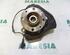 Stub Axle RENAULT Clio III (BR0/1, CR0/1)