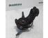 Stub Axle CITROËN C3 Picasso (--)