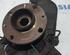 Stub Axle FIAT Panda (169)