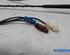 8200500322 Antenne Dach RENAULT Scenic III (JZ) P20247997