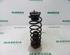 Coil Spring FIAT Qubo (225)