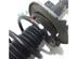 Suspension Strut PEUGEOT 308 I (4A, 4C), PEUGEOT 308 SW I (4E, 4H)