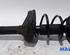 Shock Absorber RENAULT Twingo II (CN0)