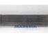 Intercooler FIAT Grande Punto (199), FIAT Punto (199), FIAT Punto Evo (199)