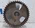 Camshaft Gear FIAT Scudo Kasten (270, 272)