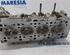 Cylinder Head RENAULT Clio II (BB, CB)