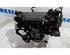71744435 Motor ohne Anbauteile (Benzin) FIAT Panda (169) P14648109