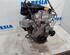 10102CZ05A Motor ohne Anbauteile (Benzin) RENAULT Scenic III (JZ) P18999389