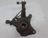 Stub Axle DACIA Duster (HS), DACIA Logan MCV (KS), DACIA Duster Kasten (--)